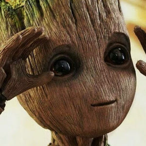 Meet your Posher, I_am_groot